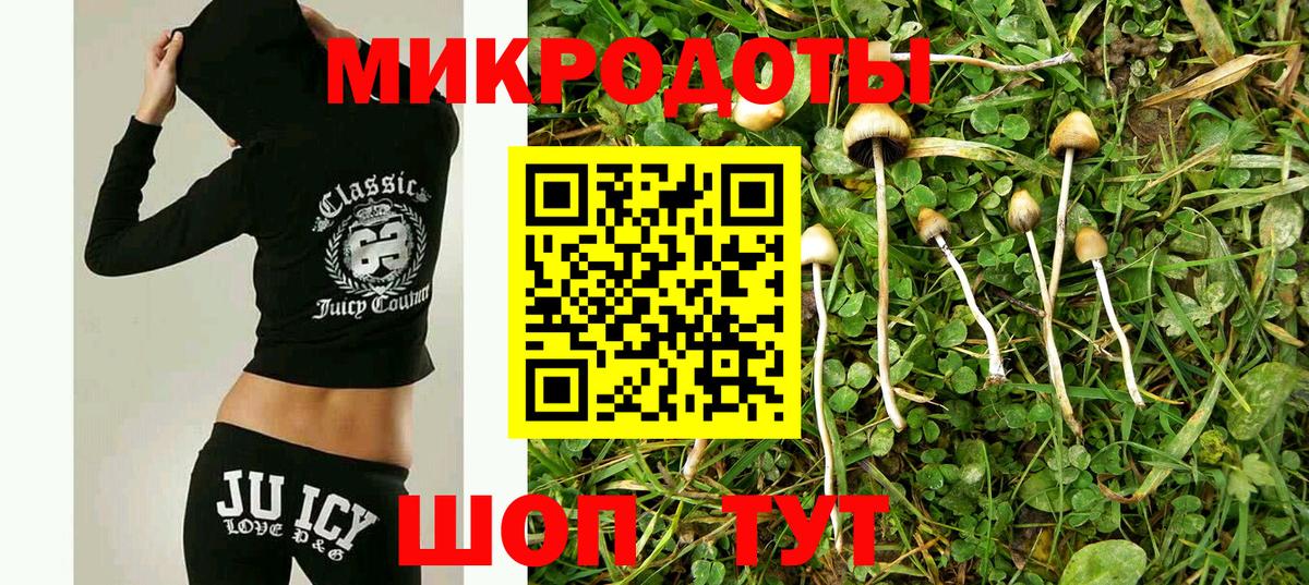 Псилоцибиновые грибы MAGIC MUSHROOMS  Вход с VPN  что такое   Усть-Лабинск 